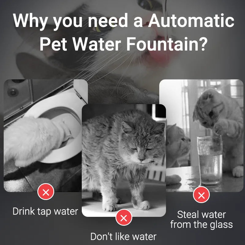 Automatic Cat Water Fountain Rechargeable