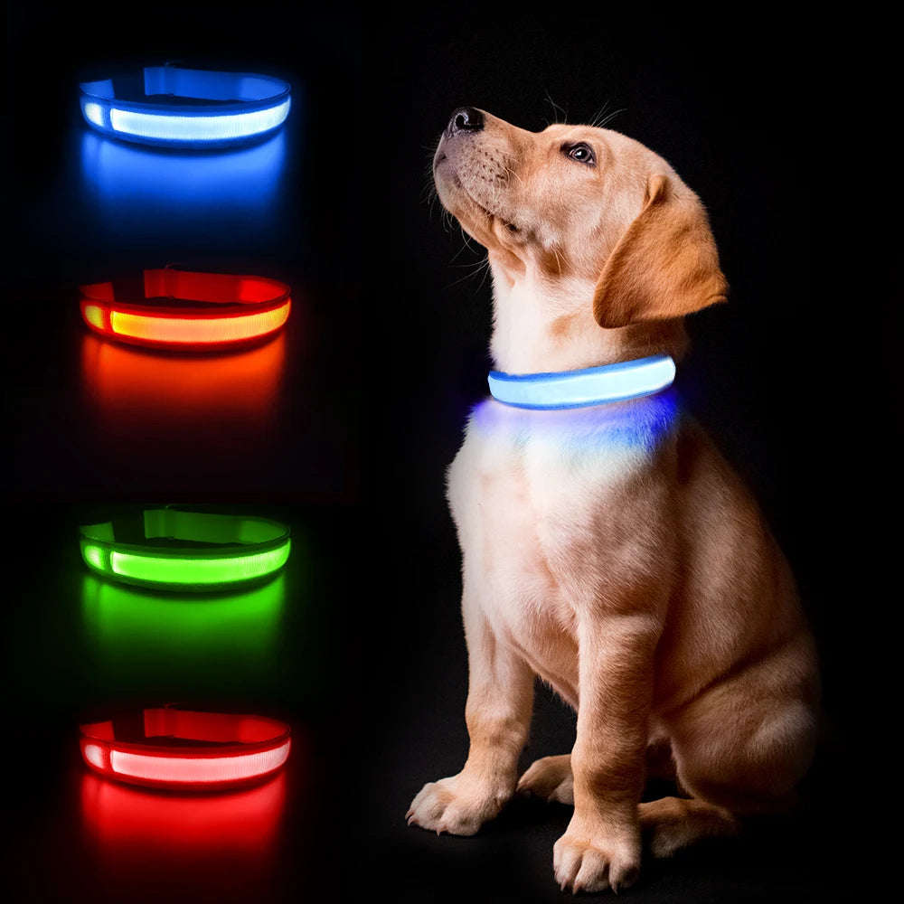 LED Safety Glow Dog Collar