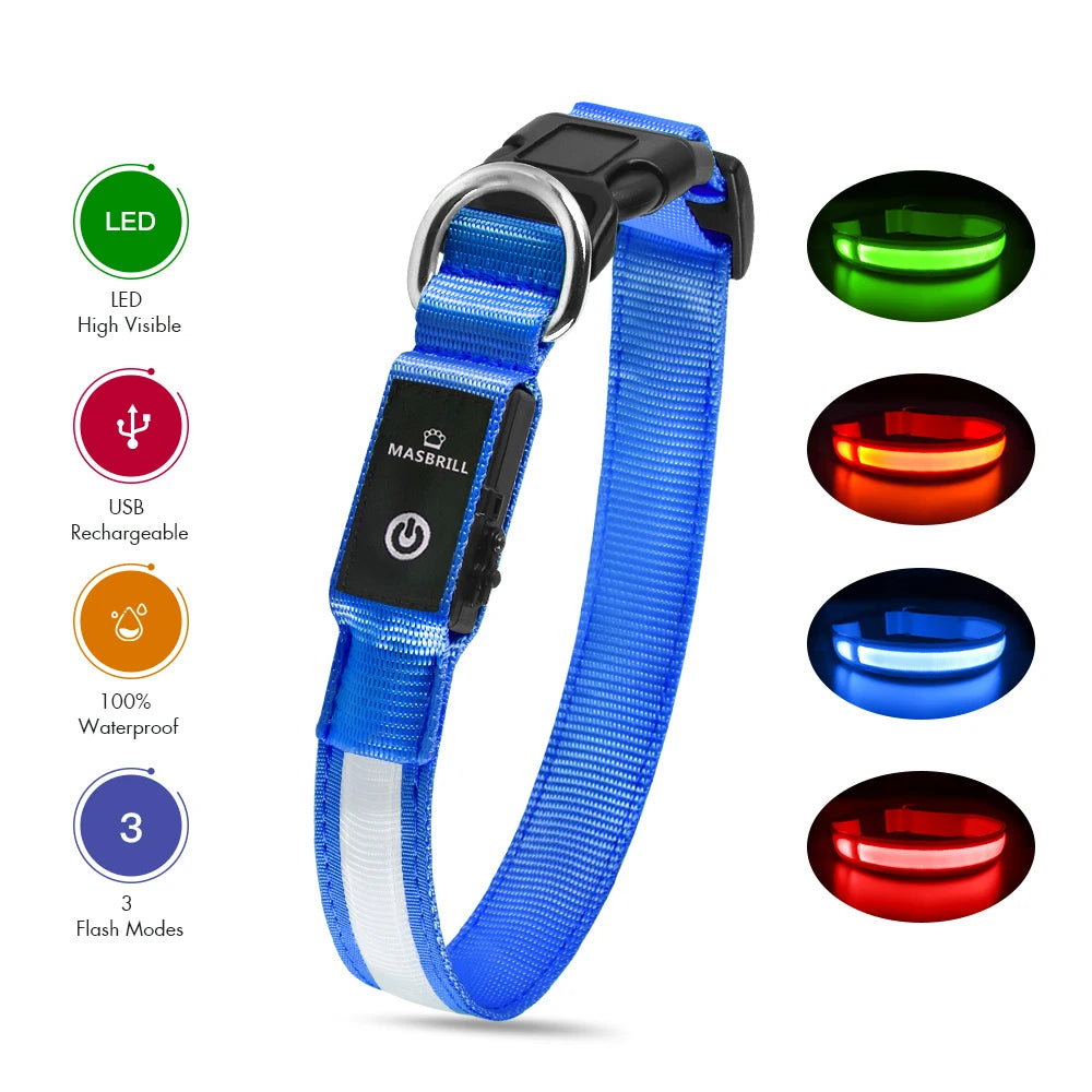 LED Safety Glow Dog Collar