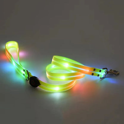 Led Light Up Dog Leash