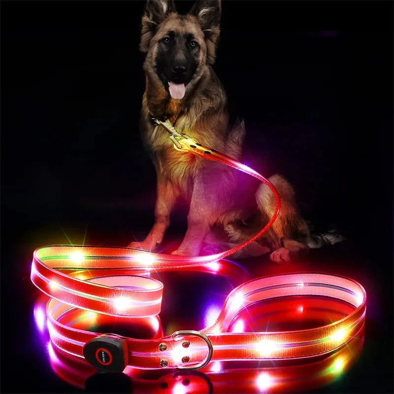 Led Light Up Dog Leash