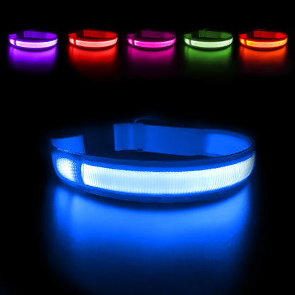 LED Safety Glow Dog Collar