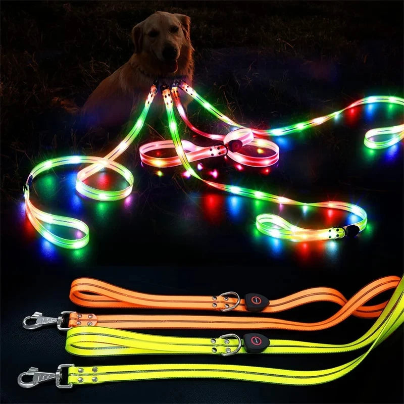 Led Light Up Dog Leash