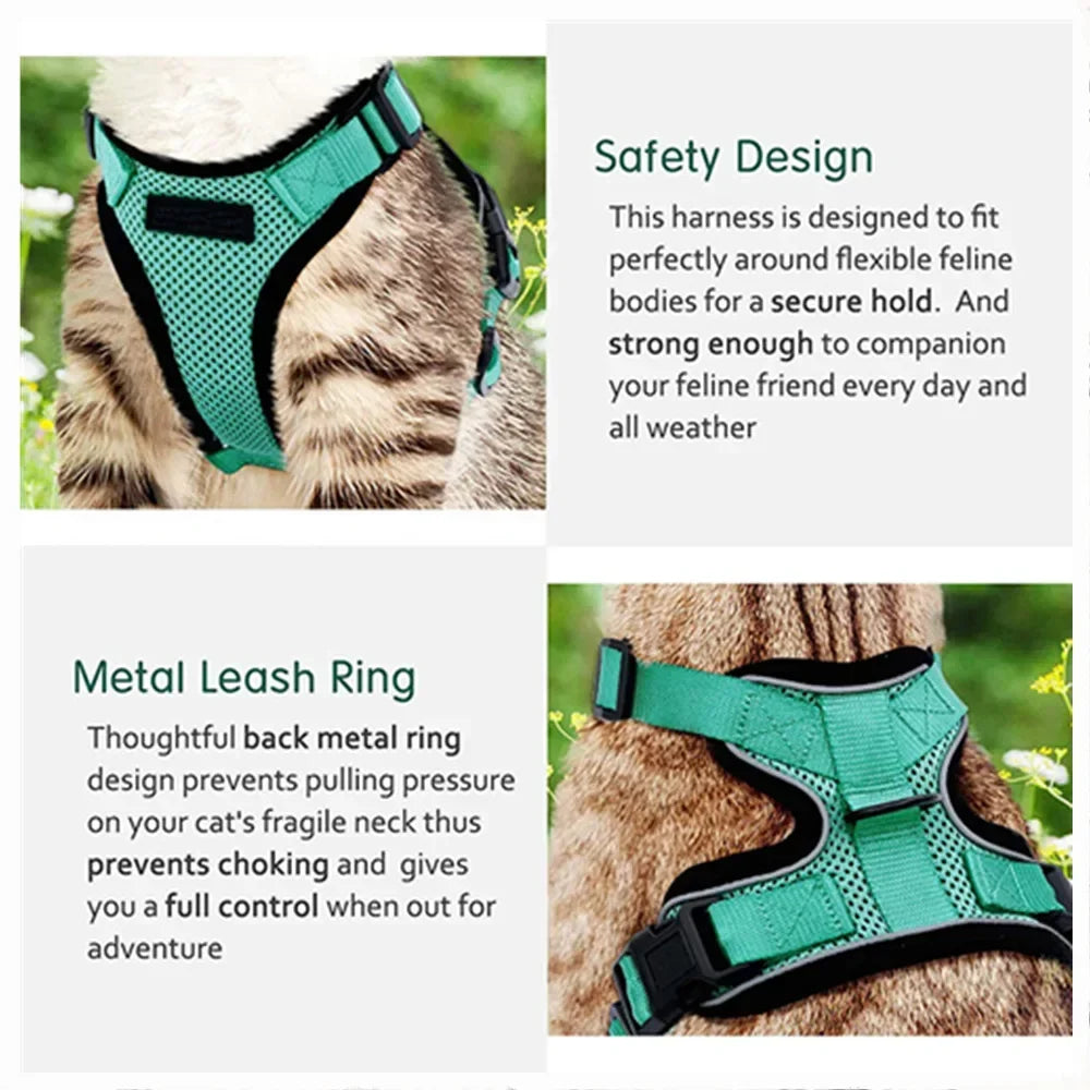 Small Mesh Harness And Leash Set