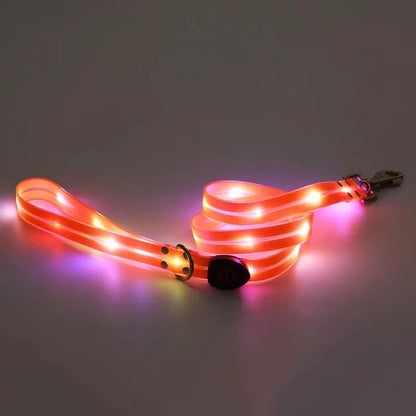 Led Light Up Dog Leash