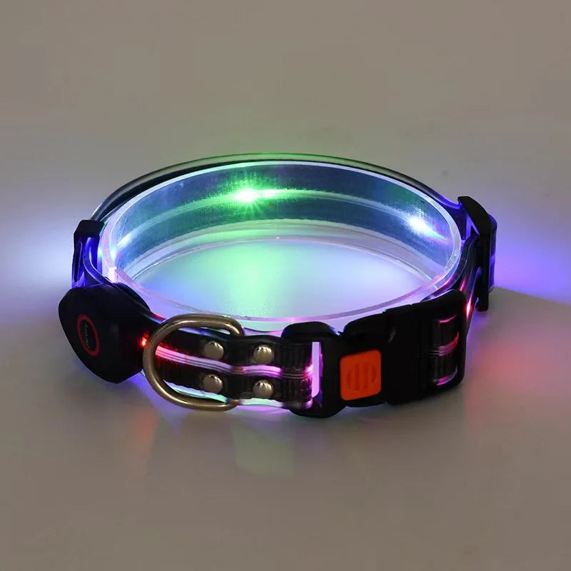 Led Light Up Dog Leash