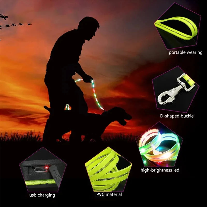 Led Light Up Dog Leash