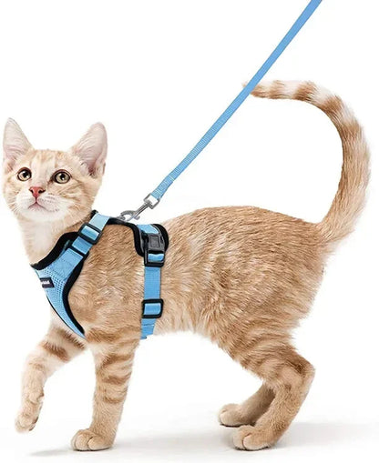 Small Mesh Harness And Leash Set