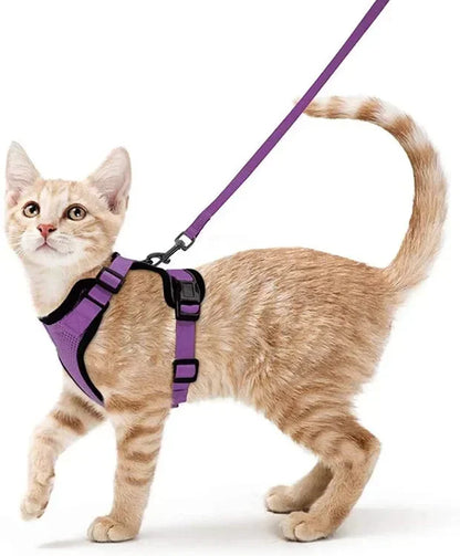 Small Mesh Harness And Leash Set