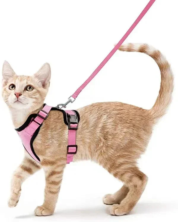 Small Mesh Harness And Leash Set